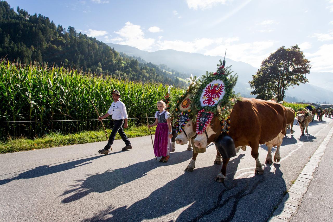 Apart Sprenger Fugen Im Zillertal Διαμέρισμα Εξωτερικό φωτογραφία