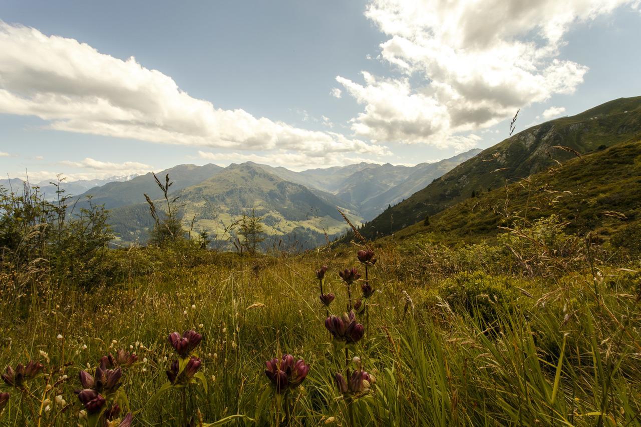 Apart Sprenger Fugen Im Zillertal Διαμέρισμα Εξωτερικό φωτογραφία