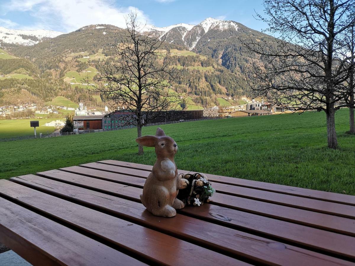 Apart Sprenger Fugen Im Zillertal Διαμέρισμα Εξωτερικό φωτογραφία