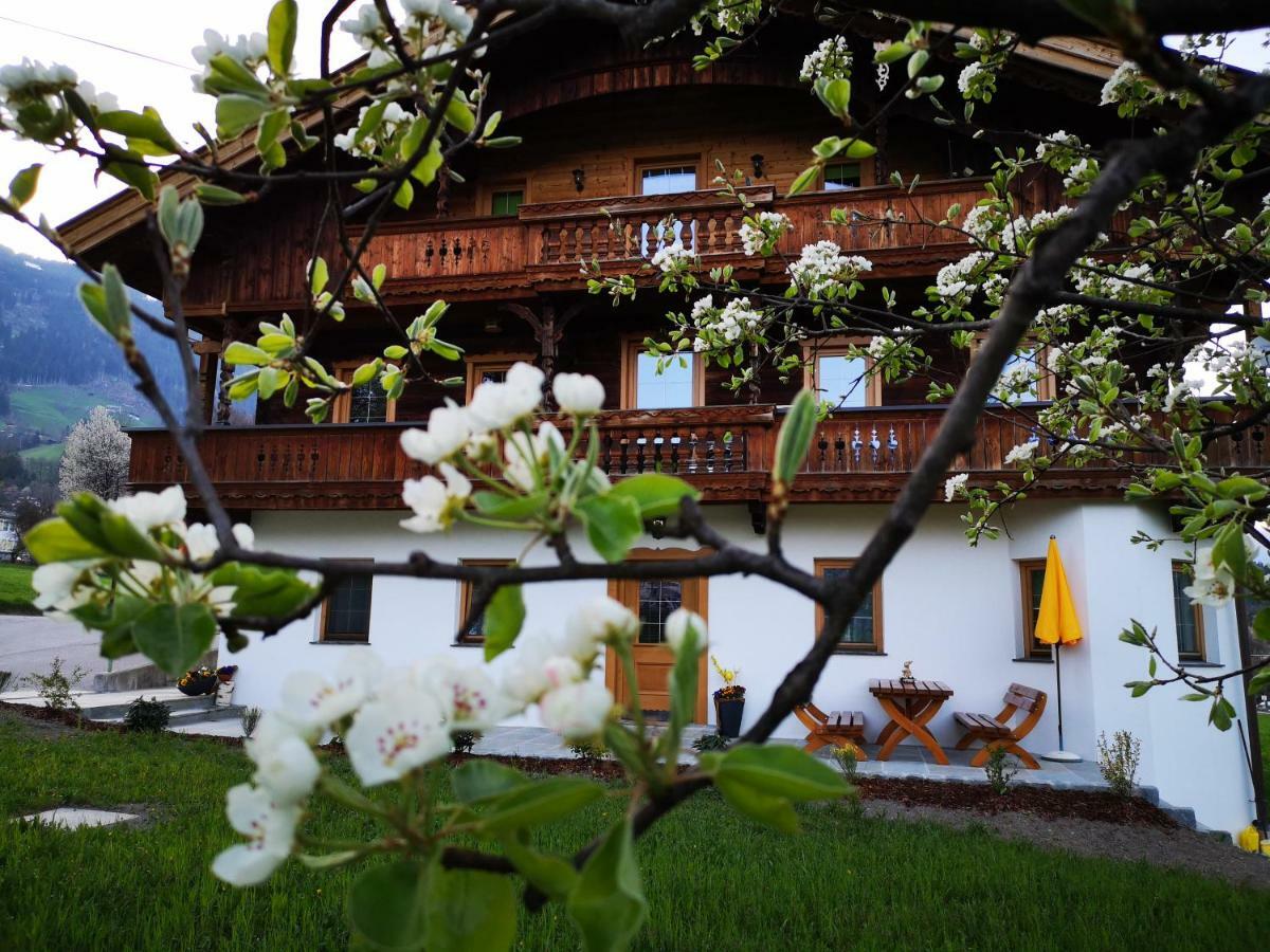 Apart Sprenger Fugen Im Zillertal Διαμέρισμα Εξωτερικό φωτογραφία